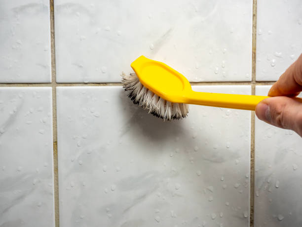 Professional Mold Removal in Captains Cove, VA