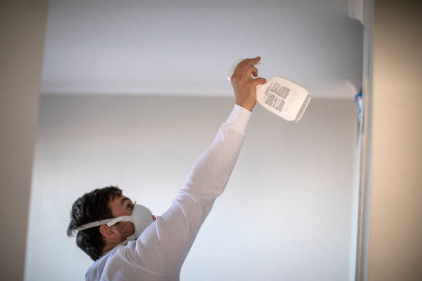 Best Local Mold Removal Service  in Captains Cove, VA