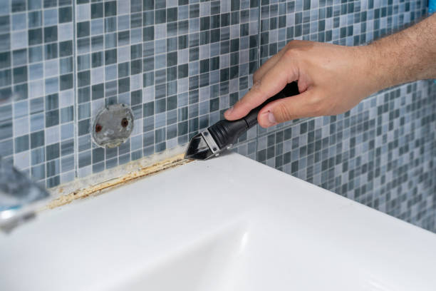 Best Emergency Mold Removal  in Captains Cove, VA