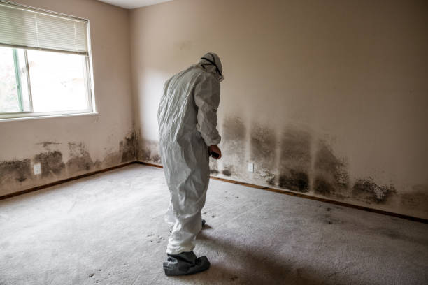Best Mold Remediation  in Captains Cove, VA