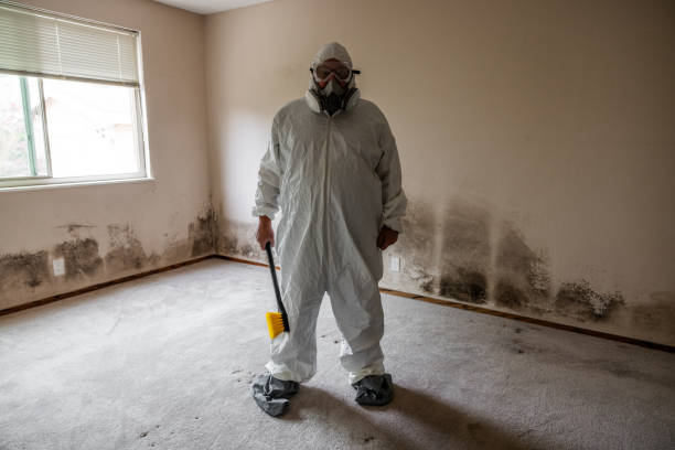 Trusted Captains Cove, VA Mold Removal Experts