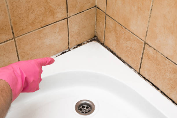 Best Mold Removal Near Me  in Captains Cove, VA